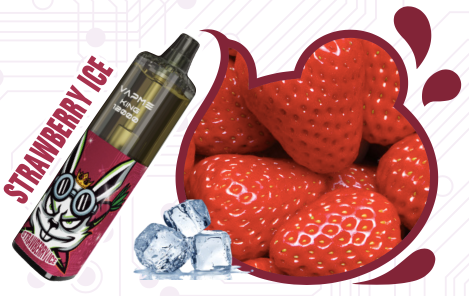 VAPME KING PRO 12K