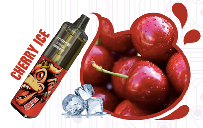 VAPME KING PRO 12K